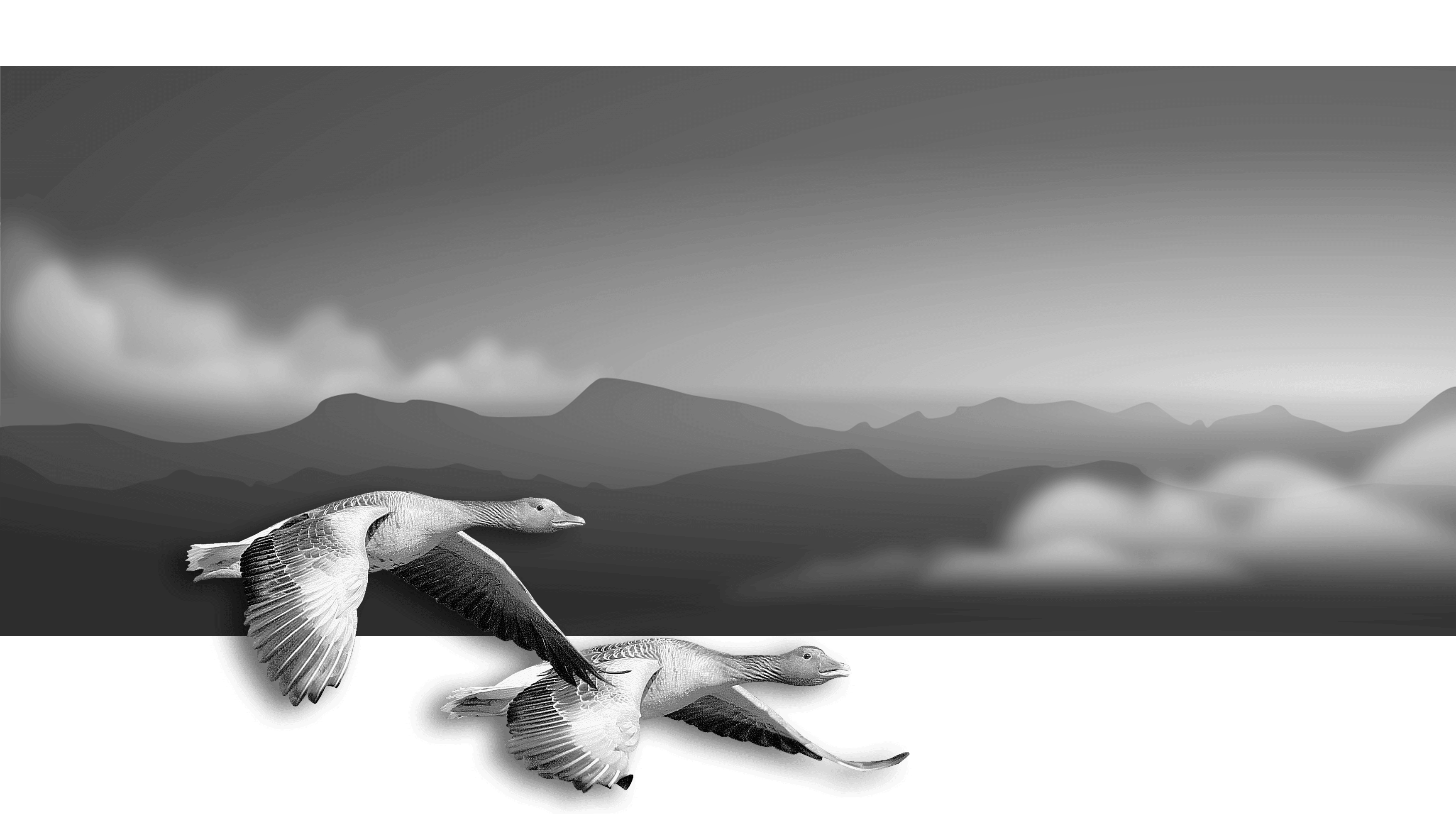 Bergkulisse mit zwei fliegenden Gänsen